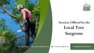 Services Offered by the Local Tree Surgeons