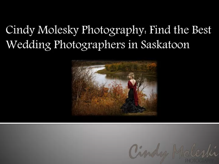cindy molesky photography find the best wedding photographers in saskatoon