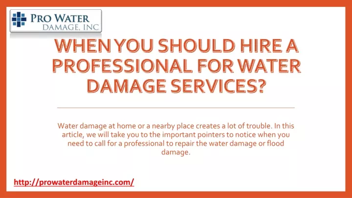 when you should hire a professional for water damage services