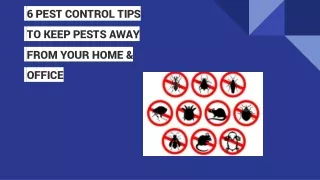 6 Pest Control Tips To Keep Pests Away From Your Home & Office