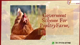 Government Scheme For Poultry Farming