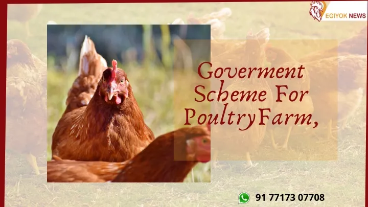 goverment scheme for poultryfarm