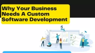 Why Your Business Needs A Custom Software Development?
