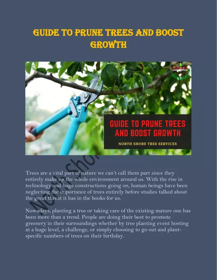 guide to prune trees and boost guide to prune