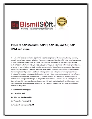 Types of SAP Modules: SAP FI, SAP CO, SAP SD, SAP HCM and more