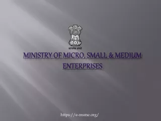ministry of micro small medium enterprises