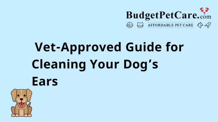 vet approved guide for cleaning your dog s ears