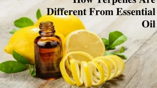 how terpenes are different from essential oil