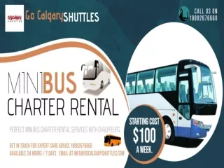 Mini Bus Charter Rental