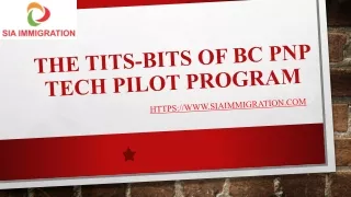 The tits-bits of BC PNP Tech Pilot Program