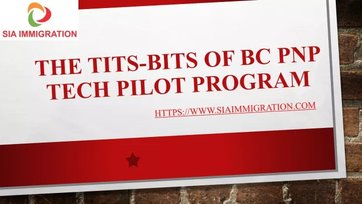 the tits bits of bc pnp tech pilot program