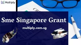 SME Singapore Grant