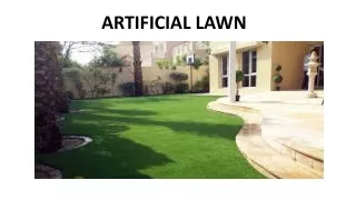artificial lawn