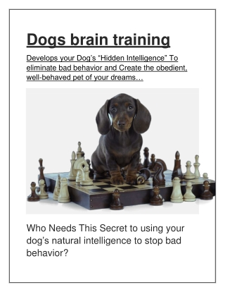 Do you want to train your dog properly?