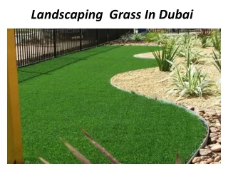 landscaping grass in dubai