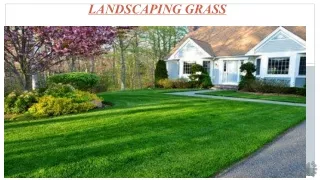 landscaping grass