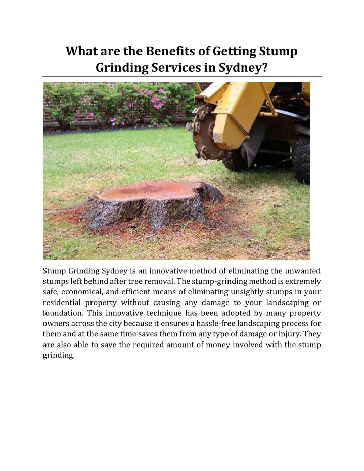 what are the benefits of getting stump grinding