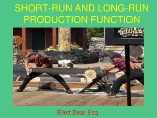 Eliott Dear Esq | SHORT-RUN AND LONG-RUN PRODUCTION FUNCTION