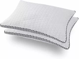 Best Shredded Memory Foam Pillows