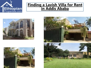 Finding a Lavish Villa for Rent in Addis Ababa