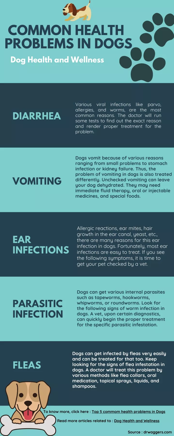 common health problems in dogs dog health