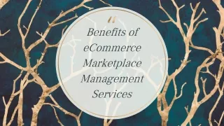 Benefits of eCommerce Marketplace Management Services
