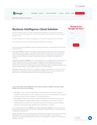 Business Intelligence Cloud Solution - Beagle