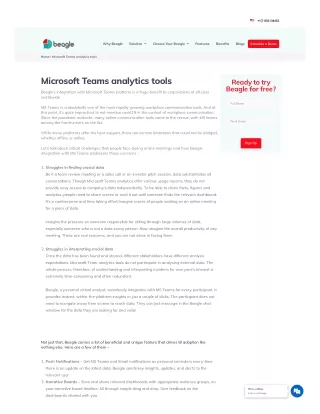 Microsoft Teams Analytics - Beagle