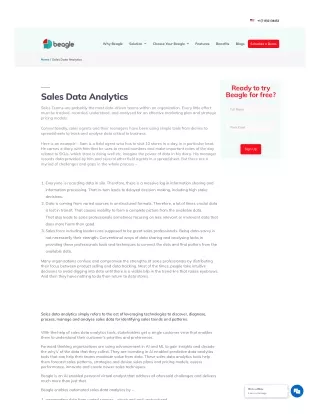 Sales Data Analytics Tool - Beagle