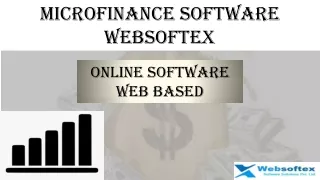 microfinance software web based websoftex