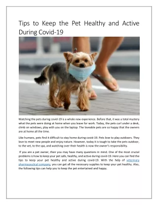 Tips to Keep the Pet Healthy and Active During Covid-19