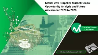 UAV Propeller Market Overview, Segmentation and Size, Share Report. 2021-2028