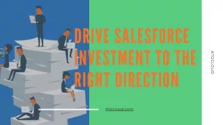 Drive Salesforce Investment to the Right Direction
