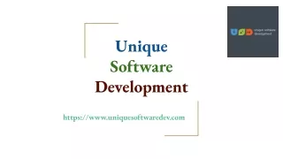 unique software development