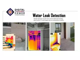Thermography Inspection be your First Choice for Water Leak Detection
