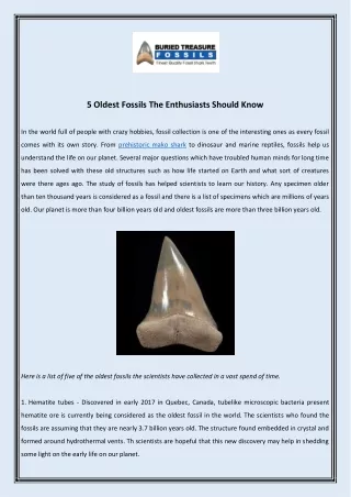 5 oldest fossils the enthusiasts should know