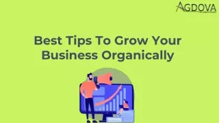 best tips to grow your business organically