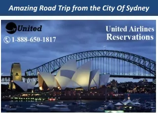 Amazing Road Trip from the City Of Sydney