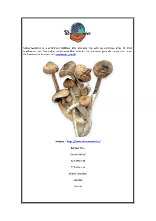 shroomworld cc is a prominent platform that