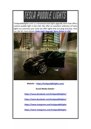 teslapuddlelights com is a renowned tesla light