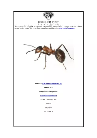 we are one of the leading pest control experts