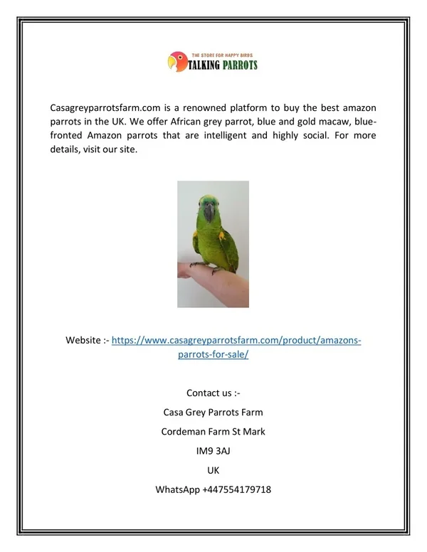 Amazon Parrots for Sale in UK | Casagreyparrotsfarm.com