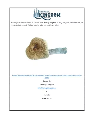 Buy Magic Mushroom Strain In Canada For Health| The Magic Kingdom