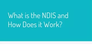 what is the ndis and how does it work