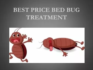 best price bed bug treatment