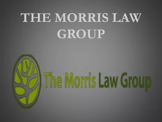 the morris law group