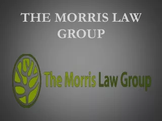 the morris law group