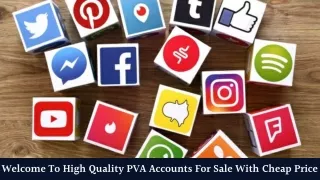 Welcome To High Quality PVA Accounts For Sale With Cheap Price