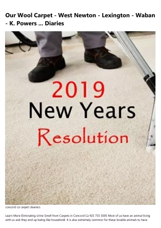 The Ultimate Glossary of Terms About carpet cleaner fairfield