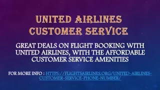 United Airlines Customer Service
